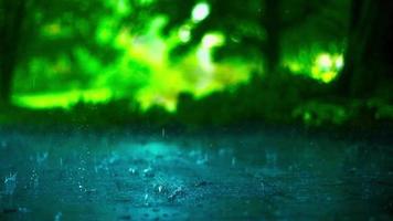 ducha de lluvia en el bosque denso, primer plano de la lluvia en la selva, gotas de agua fijadas en hojas verdes, día de lluvia en el bosque tropical. gota de lluvia en el árbol de hojas. lluvia intensa cayendo sobre las hojas de los árboles video