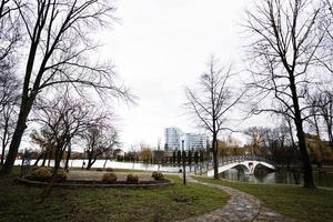 peatonal puente en parque. foto