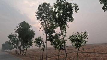 in beweging beeldmateriaal Aan een dorp weg in de ochtend. landelijk Oppervlakte en Open veld- 4k video met mooi zonsopkomst visie. weg reis 4k beeldmateriaal met groen bomen en droog landt. dorp weg reis filmmateriaal.