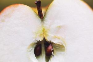 medio manzana cerca arriba. cortar manzana antecedentes foto