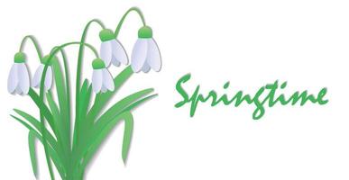 Snowdrops or Galanthus nivalis on white background. Spring vector illustration in the form of a banner with a beautiful inscription. Vector background with a flower. Postcard, invitation, advertising