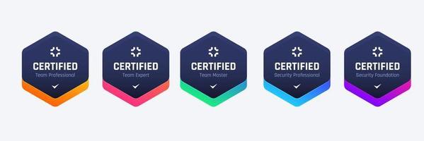 List of Computer Security Certifications Organizations Badge Design Base On Criteria. Vector Illustration Business Company Colorful Hexagon Logo Template.