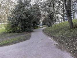 Path in a Park photo