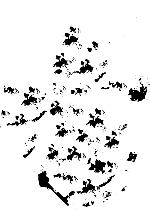 Camouflage Pattern PNGs for Free Download