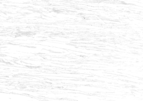 rustik grunge textur med spannmål och fläckar. abstrakt ljud bakgrund. png grafisk illustration med transparent bakgrund.