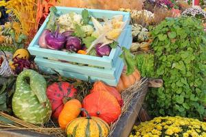 calabaza orgánica y verdura en caja de madera en feria agrícola. cosechando el concepto de tiempo de otoño. jardín otoño planta natural. decoración de halloween de acción de gracias. fondo rural de la granja festiva. comida vegana. foto