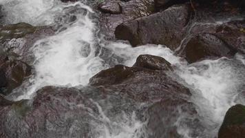 Wasser fließend auf das Berg Fluss wann regnerisch Jahreszeit mit Wasser Bewegung durch das Fluss Stein. das Aufnahmen ist geeignet zu verwenden zum Umgebung und frisch Wasser Inhalt Medien. video