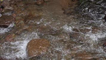 água fluindo em a montanha rio quando chuvoso estação com água movimento através a rio pedra. a cenas é adequado para usar para meio Ambiente e fresco água conteúdo meios de comunicação. video