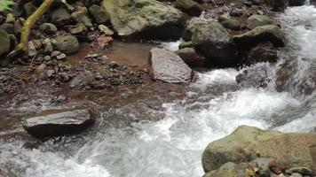 Wasser fließend auf das Berg Fluss wann regnerisch Jahreszeit mit Wasser Bewegung durch das Fluss Stein. das Aufnahmen ist geeignet zu verwenden zum Umgebung und frisch Wasser Inhalt Medien. video