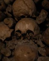 Image of skulls - Dark shots of human skulls photo