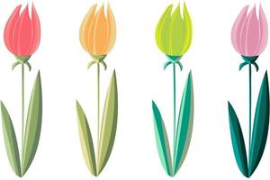 Spring flower tulip collection, set of colorful tulips isolated on white background vector