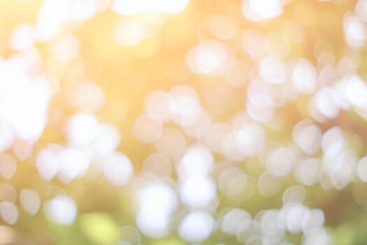 Abstract Nature Bokeh Background with Light Leak from the Top. photo