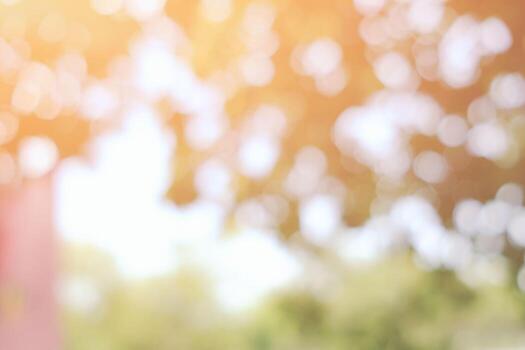 Abstract Nature Bokeh in the Morning, Suitable for Background, Backdrop, and Mock up. photo