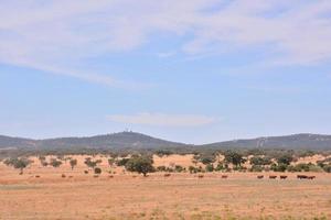 Scenic rural landscape photo