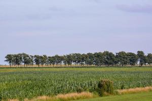 Scenic rural landscape photo