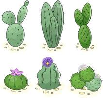 ilustración de un cactus con hojas vector