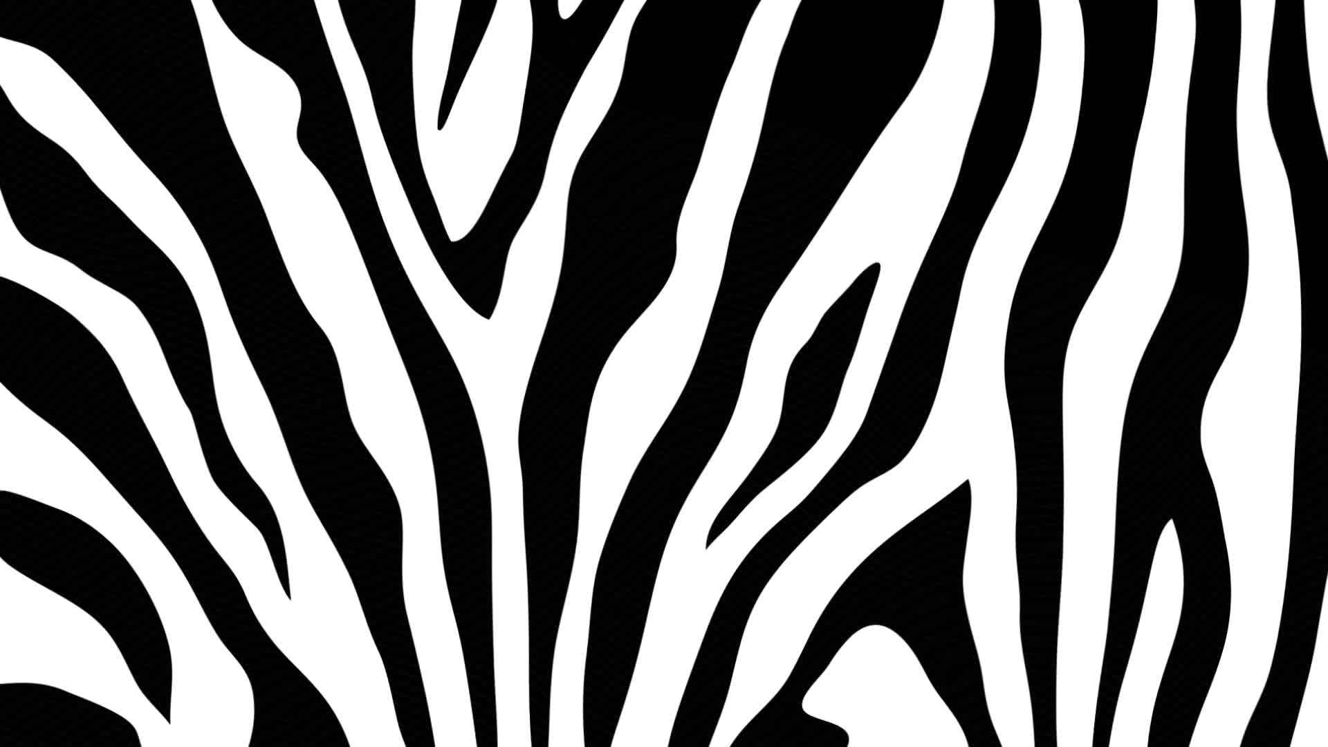 Zebra print desktop wallpaper infoupdate