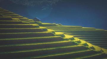 arroz campos en aterrazado con de madera pabellón en azul cielo antecedentes en mu cang Chai, yenbai, Vietnam. foto