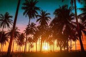 silueta de palmeras de coco en la playa al atardecer. tono vintage. foto