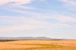 Scenic rural landscape photo