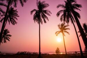 silueta de palmeras de coco en la playa al atardecer. tono vintage.