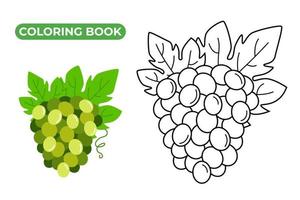 Bunch of green grapes. Vector illustration of ripe dessert. Black and white linear drawing of berries of grapes with leaves. Tropical fruit icon. Vine coloring page for kids.