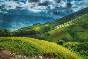 arroz campos en aterrazado con de madera pabellón en azul cielo antecedentes en mu cang Chai, yenbai, Vietnam. foto