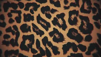 Simple leopard print motion background. This animal print background animation is full HD and a seamless loop. video
