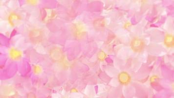 lindo floral movimento fundo animação com sagrado Rosa e branco lótus flores comovente suavemente para a Câmera. cheio hd e looping fundo. video