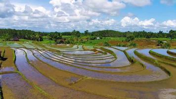 aerial view beautiful morning view from Indonesia about mountain and forest video