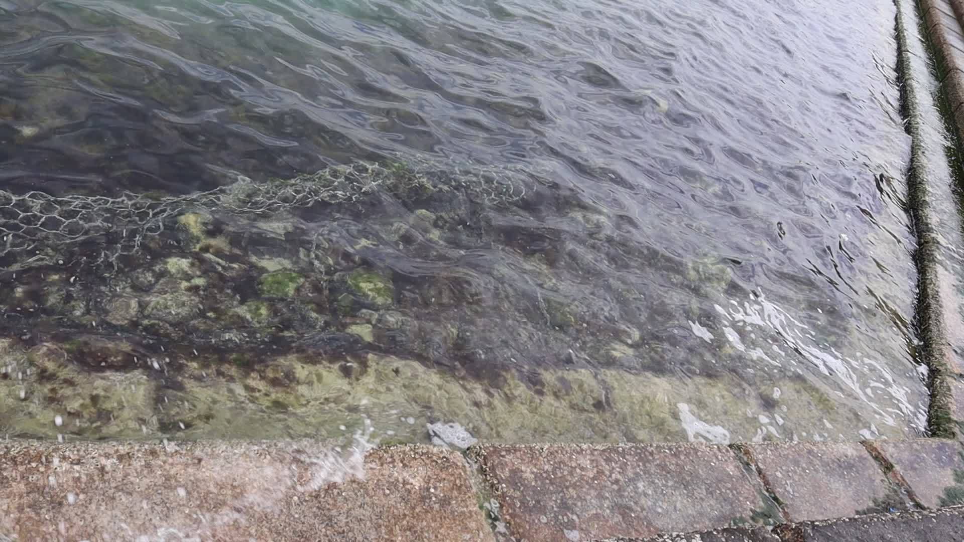 Due to air blowing waves moves in the sea water 21489774 Stock Video at