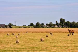 Scenic rural landscape photo