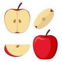 Half An Apple, Slice, Top View, Side View. Colorful Tasty And Juicy Flat Style Vector Illustration