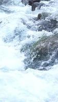 vertical video of river water in the mountains flowing swiftly through the rocks.