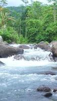 waterfall in the forest - stock Vertical video