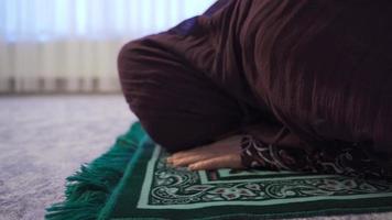 To pray, to touch the forehead to prostrate. Muslim woman in hijab is praying. video