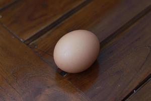 a close up of a chicken egg photo