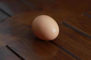 a close up of a chicken egg photo
