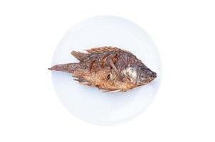 fried fish Tilapia on white dish  isolated on white background,thai food style photo