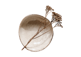 Beige bowl with a dried flower isolated on a transparent background png