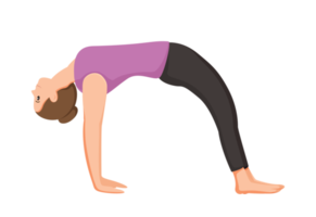 young woman doing yoga poses illustration png