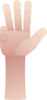 Hand Counting Nine On Fingers png
