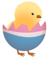 Chick in eggshell illustration png