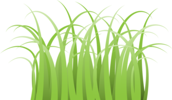 lutning grön gräs png