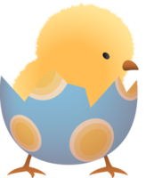 Chick in eggshell illustration png