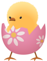 Chick in eggshell illustration png