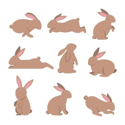 Rabbit vector cartoon set icon. Isolated cartoon set icon animal. Vector illustration rabbit on white background