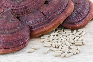 Ling zhi mushroom or Ganoderma lucidum capsule photo