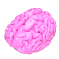 el rosado cerebro png imagen para ciencia o médico concepto 3d representación