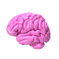 The pink brain png image for sci or medical concept 3d rendering